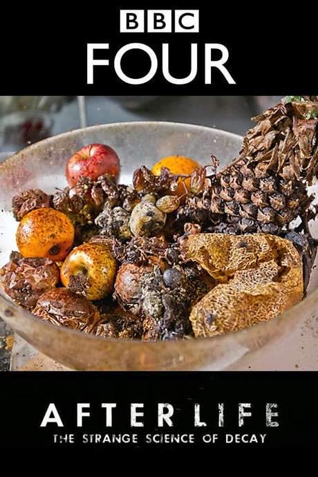 After Life: The Strange Science of Decay